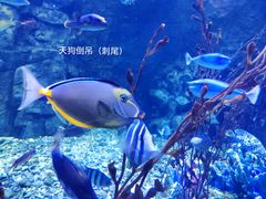 -太平洋海底世界