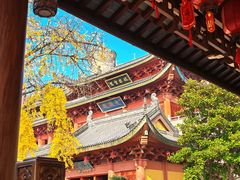 -上海东林寺(金山区)