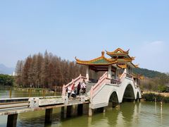 -星湖旅游景区七星岩
