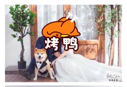 点击看大图 -艺匠摄影ARTIZ STUDIO(南京店)