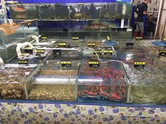 -明记海鲜大排档(巽寮湾店)