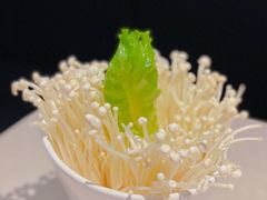 -浩爷羊蝎子火锅(望京店)