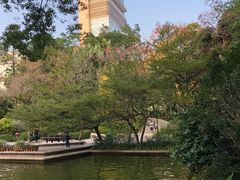 -九龙公园