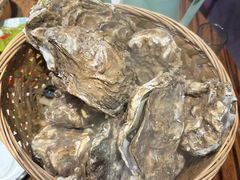 -蚝堡海鲜·威海菜·海肠捞饭·烧烤·亚洲吃蚝公司(幸福门店)