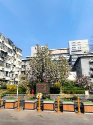 -首都医科大学附属北京儿童医院