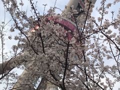 -东方明珠广播电视塔