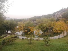 -鹦鹉寺公园