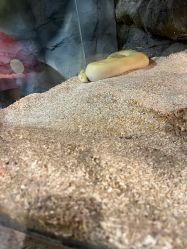 -Zoolung Zoolung动物主题公园(海信广场店)