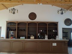 -北京群众马术培训基地