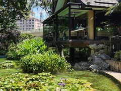 -静安公园(静安寺街道)