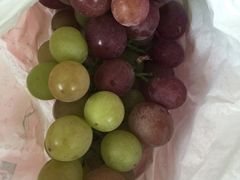 -马陆小张葡萄园农家乐