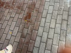 -巧手馄饨(箍桶巷店)