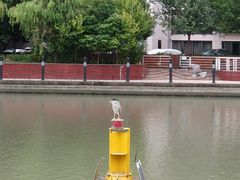 -苏州河梦清园环保主题公园