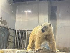 -大连圣亚海洋世界