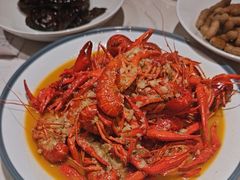 -杨氏青龙虾·羊蝎子(托乐嘉店)