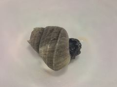-松哥油焖大虾.小龙虾.黑鸭煲(海岸城店)