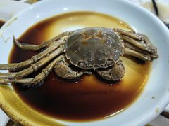 -红灯笼龙凤饭店(宁波老字号店)