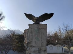 -北京鹫峰国家森林公园