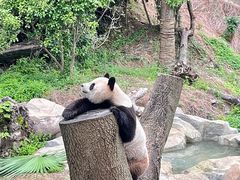 -宁波野生动物园