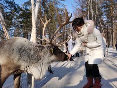 -北极村旅游风景区