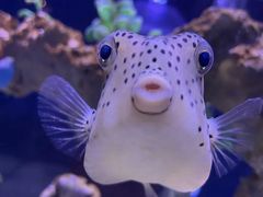 -太平洋海底世界