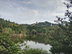 -龙口南山旅游景区