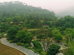 -黄陂区野村谷景区