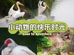 -成都动物园