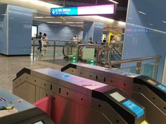 -大龙山(地铁站)