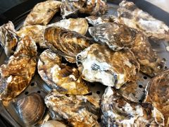 -渔公码头·九龙湾国际饭店
