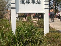 -道林古镇