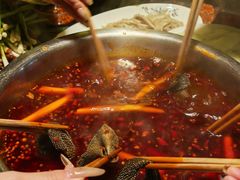 -郫都区农科村景区