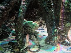 -沈阳海洋探索中心