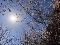 -定都阁