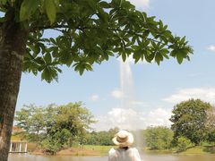 -中国科学院西双版纳热带植物园