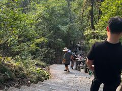 -紫金山山顶公园