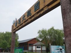 -白洋淀景区