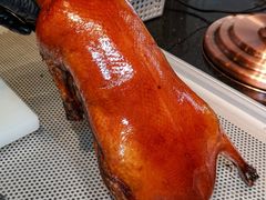 -小吊梨汤·北京菜·烤鸭(鸟巢店)