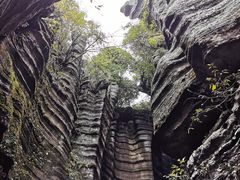 -梭布垭石林景区