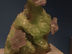 -贵州省地质博物馆