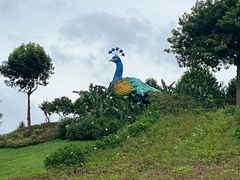-东莞植物园