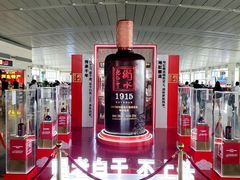 -石家庄正定国际机场-T2航站楼