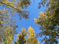 -野鸭湖国家湿地公园