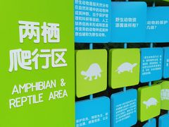-广东惠东海龟国家级自然保护区