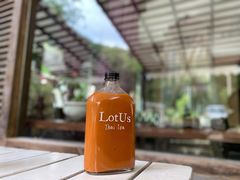 -Local泰莲庭(虹鳟鱼店)