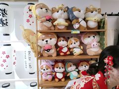 -柴迷FANS CLUB·柴犬狗咖·猫咖