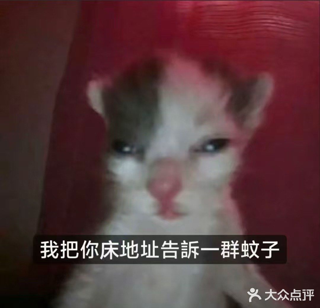 今晚就是要吃火锅