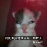 今晚就是要吃火锅