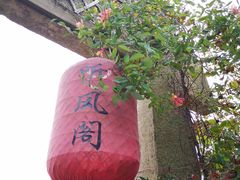 -听风阁农家私房菜茶楼(龙坞店)
