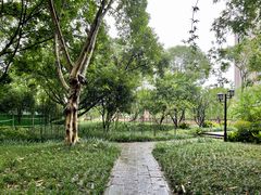 -望江楼公园